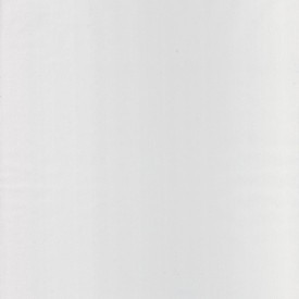 Biała tapeta ścienna Caselio Basics - 64520000 (BAI 6452 00 00)